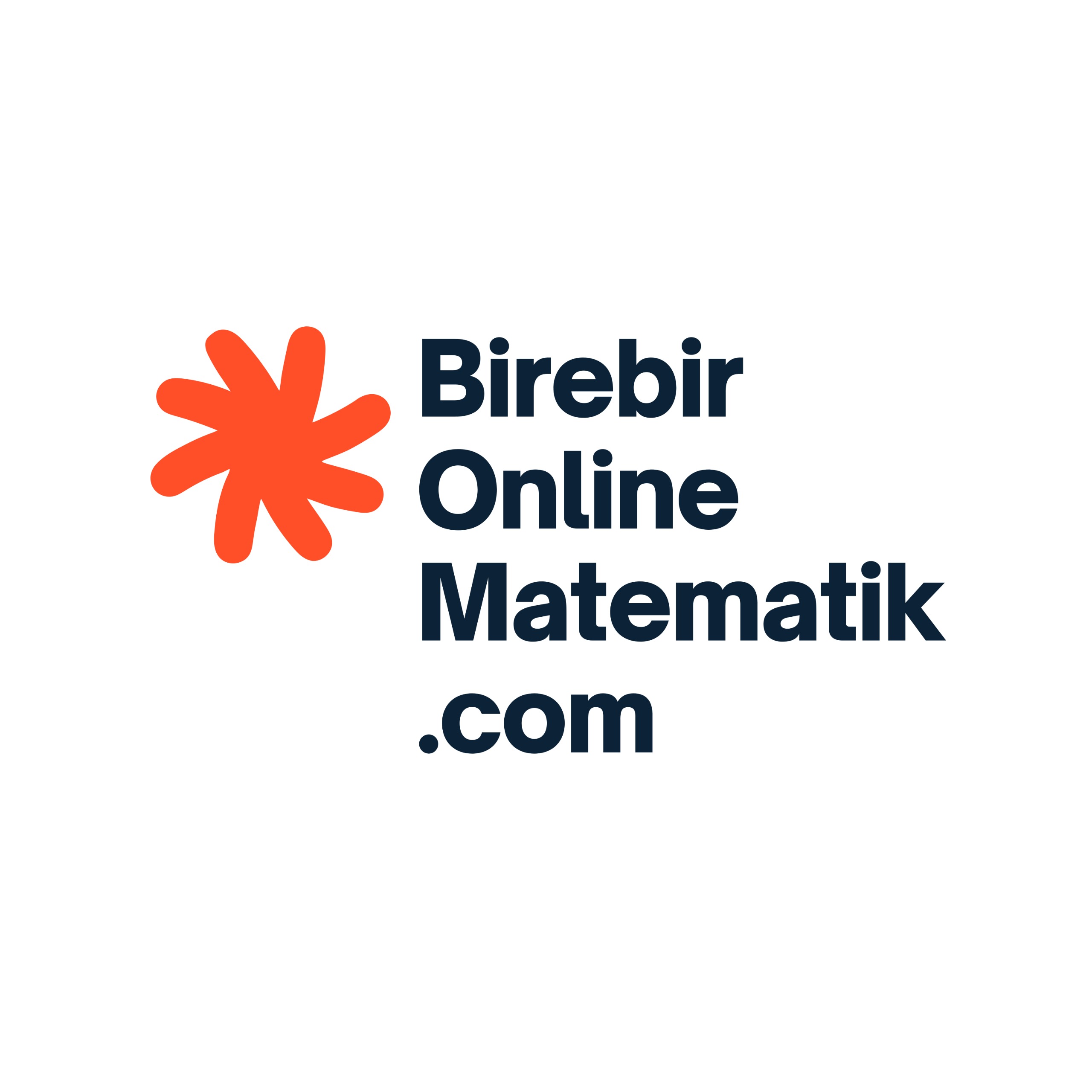 Birebir Online Matematik